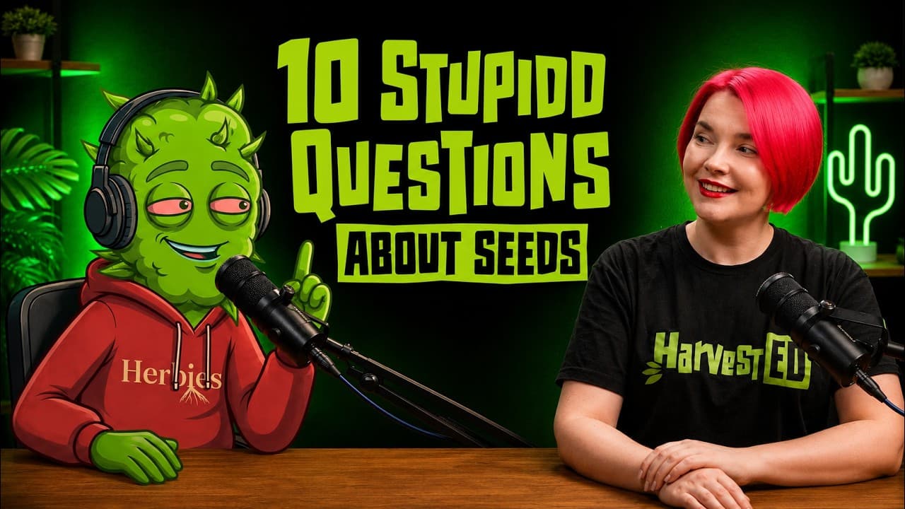 10 Stupid Questions About Seeds with Herbie from Herbies Seeds