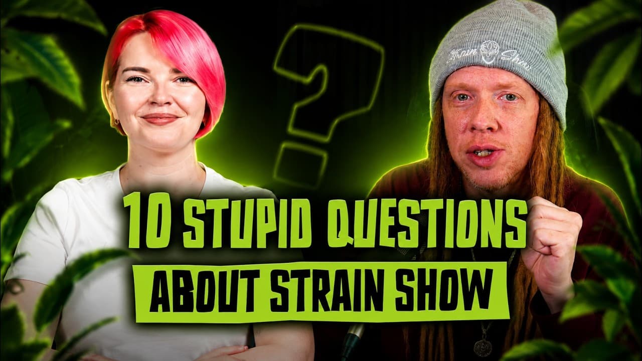 10 Stupid Questions About Strain Show with Matt from Strain Show